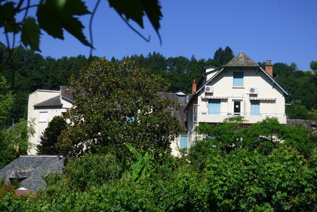 Hôtel du Lion d'Or Entraygues-sur-Truyère Exterior foto